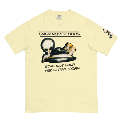 Schedule Your Abduction Tee